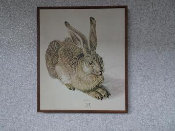 tekening van Albrecht Durer beschikbaar voor biedingen