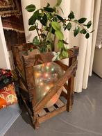 Mooie oud originele Franse wijnfles in originele houten krat, Ophalen