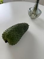 Zuurzak / Soursop / Guanabana, Ophalen of Verzenden