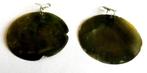 Leuke grote echte Moeder van Pearl schelp oorbellen, Verzenden, Zo goed als nieuw, Hangers, Met edelsteen