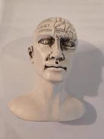 Frenologie Hoofdje, Antiek en Kunst, Ophalen of Verzenden