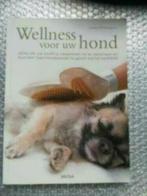 Wellness voor uw hond - Sarah Whitehead, Boeken, Dieren en Huisdieren, Honden, Ophalen of Verzenden, Sarah Whitehead, Zo goed als nieuw