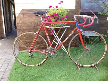 Le jeune vintage koersfiets  beschikbaar voor biedingen