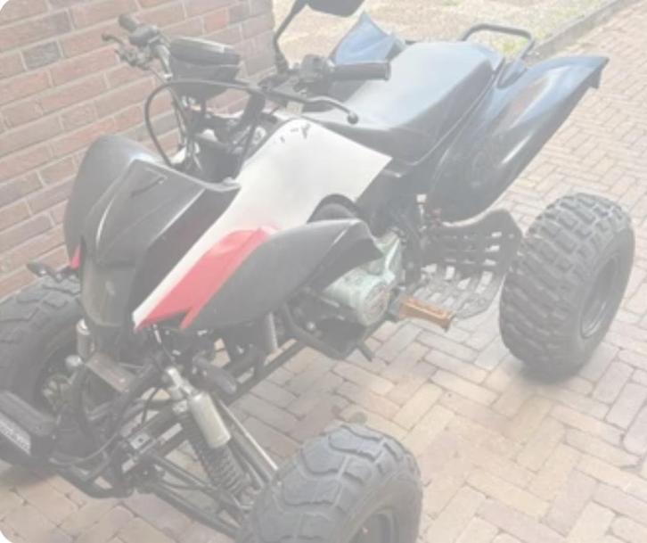 Bashan 200 cc quad met auto kenteken, Sport en Fitness, Overige Sport en Fitness, Gebruikt, Ophalen