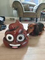 drol , kado, Ophalen of Verzenden, Atw, Atw, Nieuw