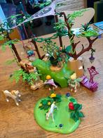 Playmobil feeenbos 9132, Ophalen of Verzenden, Gebruikt, Complete set