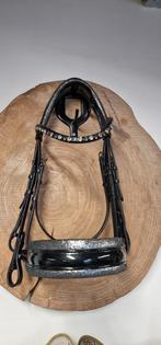 Tess one of lipica COB hoofdstellen met Swarovski frontriem, Ophalen of Verzenden, Nieuw, Dressuur