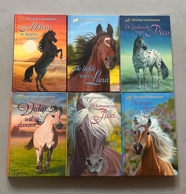 6 Boeken Gouden Paarden Serie, Christine Linneweever., Boeken, Kinderboeken | Jeugd | 10 tot 12 jaar, Zo goed als nieuw, Verzenden