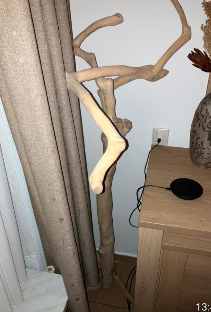 Decoratieve koffieboom Java Boom, Huis en Inrichting, Woonaccessoires | Wanddecoraties, Ophalen