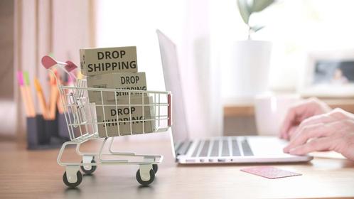Dropshipping-webshop Shopify, Wordpress, Magento, Prestashop, Diensten en Vakmensen, Webdesigners en Hosting, Domeinregistratie