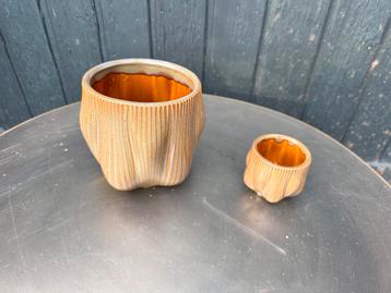 Twee PTMD potjes beschikbaar voor biedingen