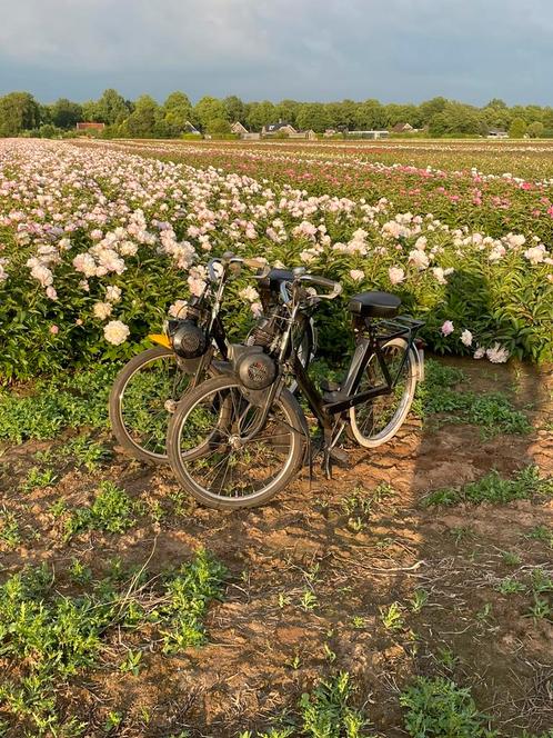 Super nette velosolex s3800!, Fietsen en Brommers, Brommeronderdelen | Algemeen, Zo goed als nieuw, Overige typen, Ophalen