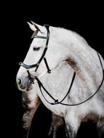 Rambo Micklem Multi Bridle, Pony, Cob, Full, X-Full, Ophalen of Verzenden, Nieuw