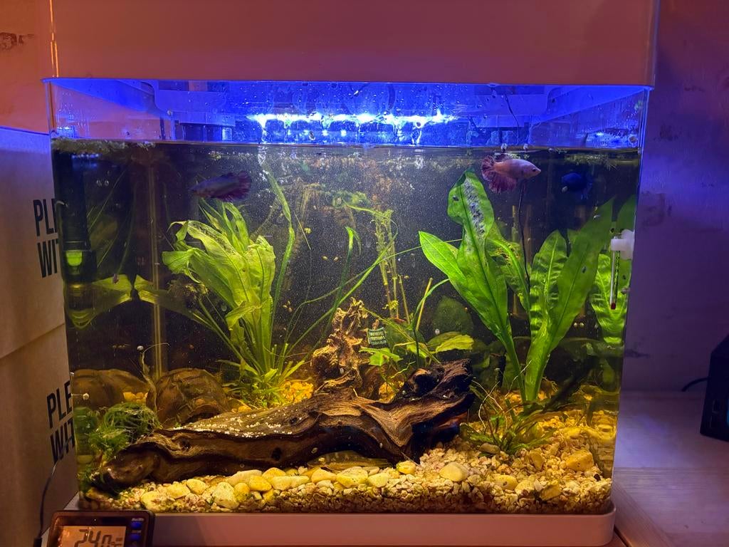 Aquarium panorama 50L wit, Dieren en Toebehoren, Vissen | Aquaria en Toebehoren, Ophalen, Zo goed als nieuw, Leeg aquarium