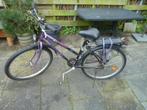 Giant sportfiets dames (MTB), 26 inch wielmaat, 46 cm frame, Fietsen en Brommers, Ophalen, Gebruikt, 26 inch, Giant
