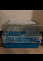 Ferplast hamsterkooi met toebehoren, Dieren en Toebehoren, Minder dan 60 cm, Kooi, Minder dan 75 cm, Ophalen of Verzenden