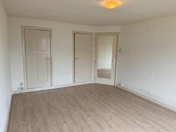 NIEUW! Woonruimte te huur Oude Engelenseweg, Den Bosch beschikbaar voor biedingen