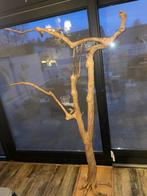 Javaboom /koffieboom, Dieren en Toebehoren, Vogels | Toebehoren, Ophalen, Gebruikt, Overige typen