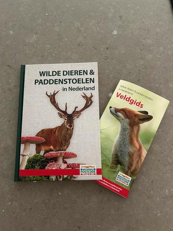 Wilde dieren & paddenstoelen in nederland beschikbaar voor biedingen