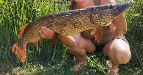 Mooie snoekstreamers circa 8 gr 20 cm, Watersport en Boten, Hengelsport | Roofvissen, Nieuw, Haak, Ophalen of Verzenden