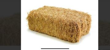 Rieten balen beschikbaar voor biedingen