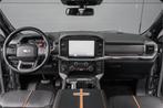 Ford USA F-150 3.5 V6 EcoBoost Platinum CrewCab LPG Pano Har, Automaat, 12 maanden, 2317 kg, Gebruikt