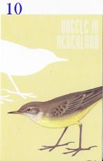 Ansichtkaart Vogels in Nederland Gele Kwikstaart   ( B3936), Ophalen of Verzenden, Ongelopen