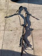 Passier martingaal full, Dieren en Toebehoren, Ophalen