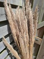 Pampas winter pluimen droogbloemen sets €4, Ophalen, Zo goed als nieuw