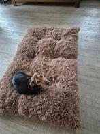 Hondenkussen xl orthopedisch kleur kaki, Ophalen, Nieuw, Pluche