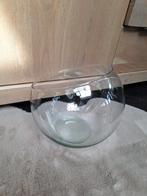 Glazen bolvaas pot transparent voor planten en bloemen decor, Ophalen of Verzenden, Zo goed als nieuw