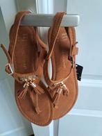 Een paar Splinternieuwe Dames schoenen met kaartje., Kleding | Dames, Schoenen, Ophalen of Verzenden, Nieuw, Zwart, Sneakers of Gympen