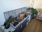 Ruime Ferplast knaagdieren kooi plaza 160x60x50, Kooi, Cavia, Ophalen, Minder dan 60 cm