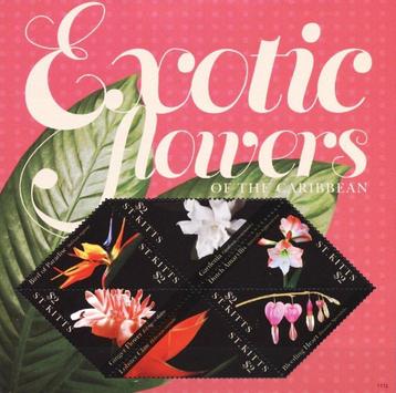 Weekend Aanbieding 31Okt en 01 en 2 nov St. Kitss (07) beschikbaar voor biedingen