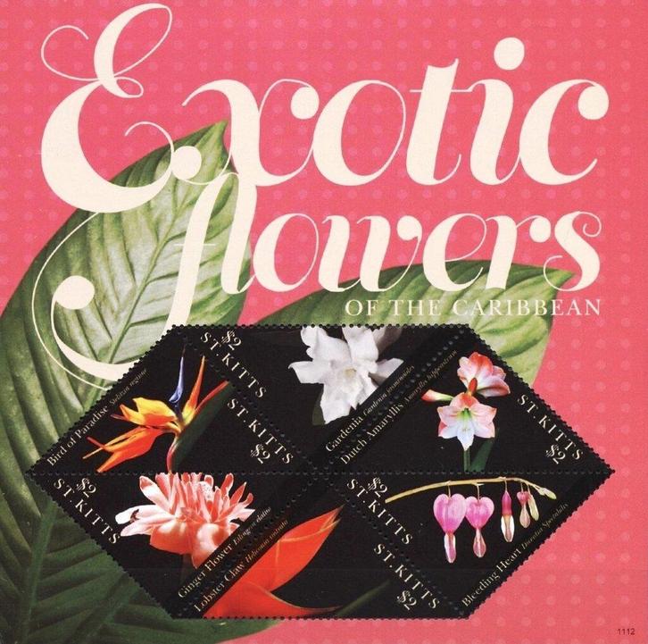 Weekend Aanbieding 31Okt en 01 en 2 nov St. Kitss (07), Postzegels en Munten, Postzegels | Thematische zegels, Postfris, Dier of Natuur