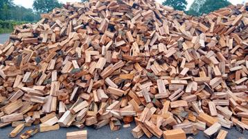 Vers Haardhout eik en beuk beschikbaar voor biedingen