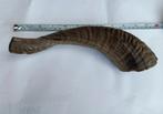 Schapenhoorn / Shofar - 20/26 cm, Ophalen of Verzenden, Gebruikt