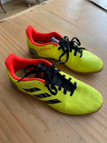 Adidas copa zaalvoetbalschoenen mt 37 1/3 beschikbaar voor biedingen