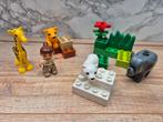 211. Duplo 4962 Baby zoo, Kinderen en Baby's, Speelgoed | Duplo en Lego, Ophalen of Verzenden, Duplo