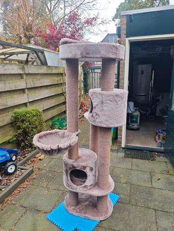 Petrebels Charlotte 180 Krabpaal beschikbaar voor biedingen