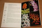 Exotische orchideee͏̈n. Tropische bloemenpracht voor raam., Boeken, Natuur, Ophalen of Verzenden, Gelezen