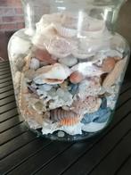 Grote glazen vaas gevuld met schelpen en natuurstenen, Ophalen of Verzenden, Schelp(en)