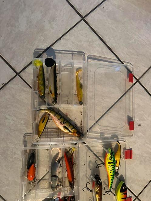 Nette roofvis set alles in 1 koop alles is merk, Watersport en Boten, Hengelsport | Roofvissen, Zo goed als nieuw, Overige typen