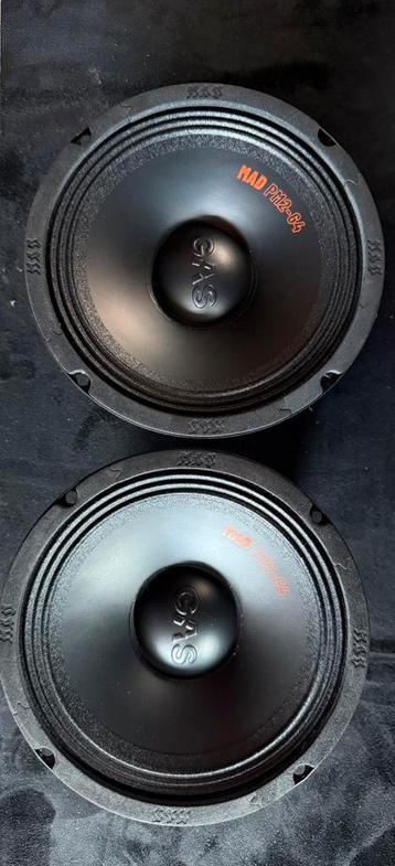 GAS MAD PM2-64 Speakers beschikbaar voor biedingen