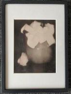 Jan Mankes 1889-1920 / Heliogravure Aronskelken 1923, Ophalen of Verzenden