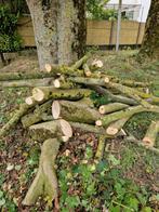 Hout te koop - zie foto 🪵 Bieden, Tuin en Terras, Haardhout, Minder dan 3 m³, Ophalen, Overige houtsoorten, Blokken