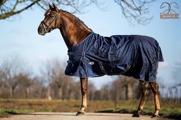 Super Sterke Profi-Rider Regendeken 1680 Denier 175 tm 215 beschikbaar voor biedingen