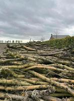 Openhaardhout appelbomen stammen of blokjes, Tuin en Terras, Haardhout, Minder dan 3 m³, Ophalen, Overige houtsoorten, Blokken