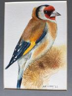 Aquarel putter geschilderd door Nurilham, Ophalen of Verzenden