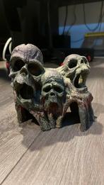 Schedel voor vissen, schuilplek